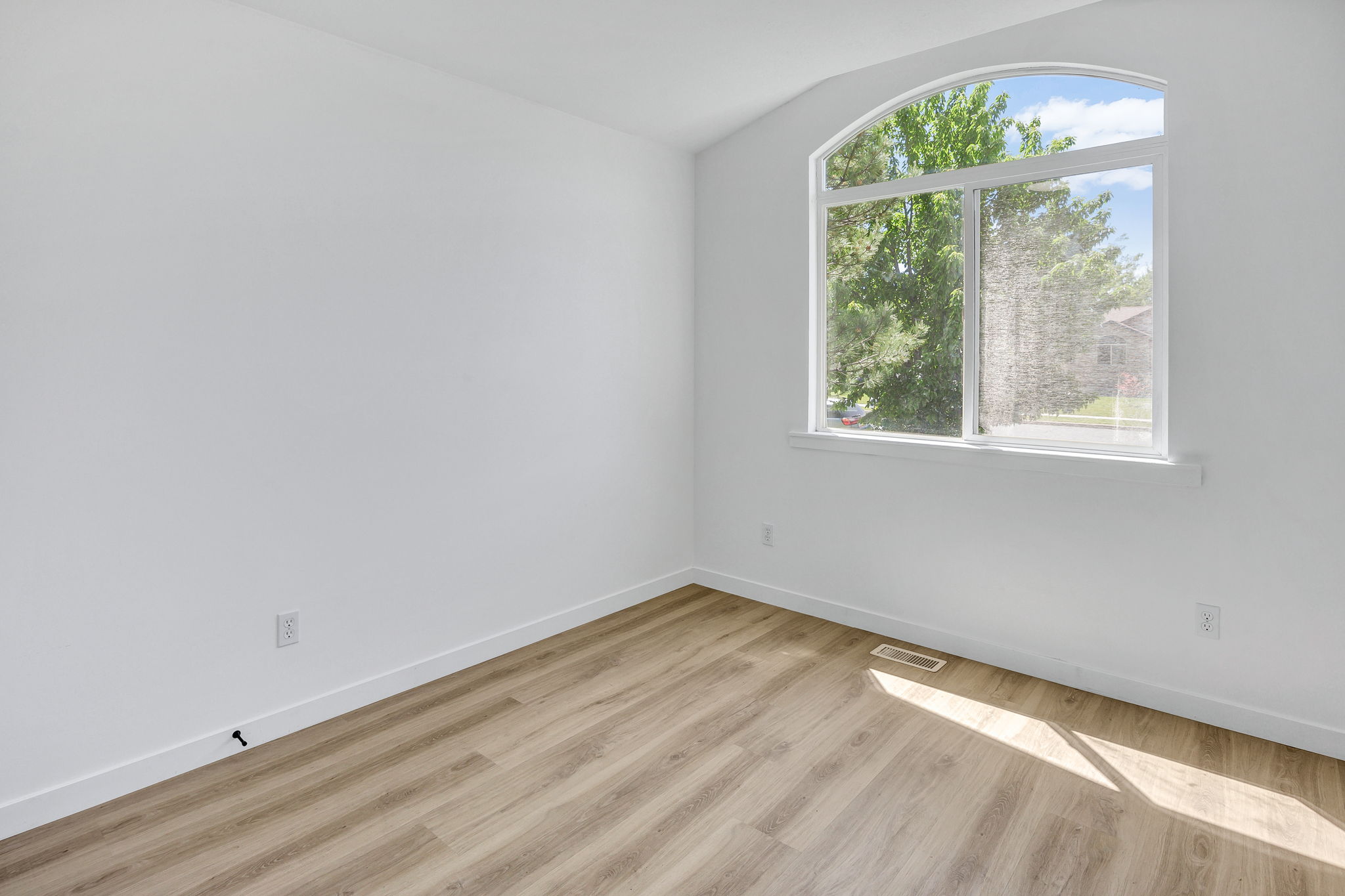 Arch-top window with white trim, wood-finish flooring, white baseboards, and bright white wall paint