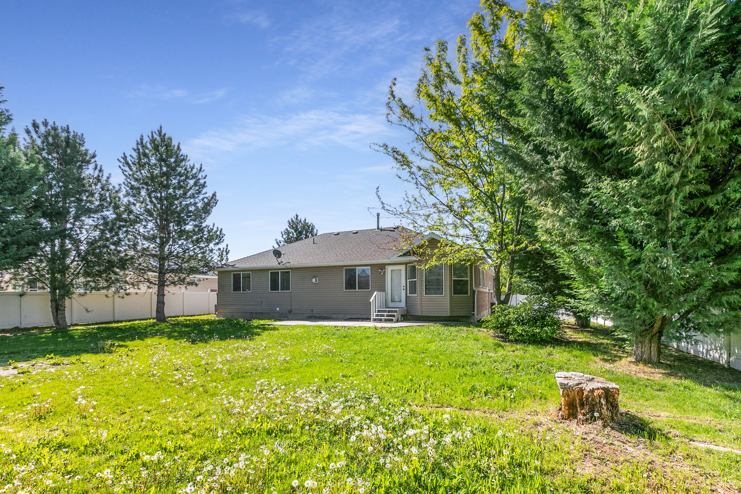 Expansive backyard featuring a concrete patio, mature trees, and a full privacy fence