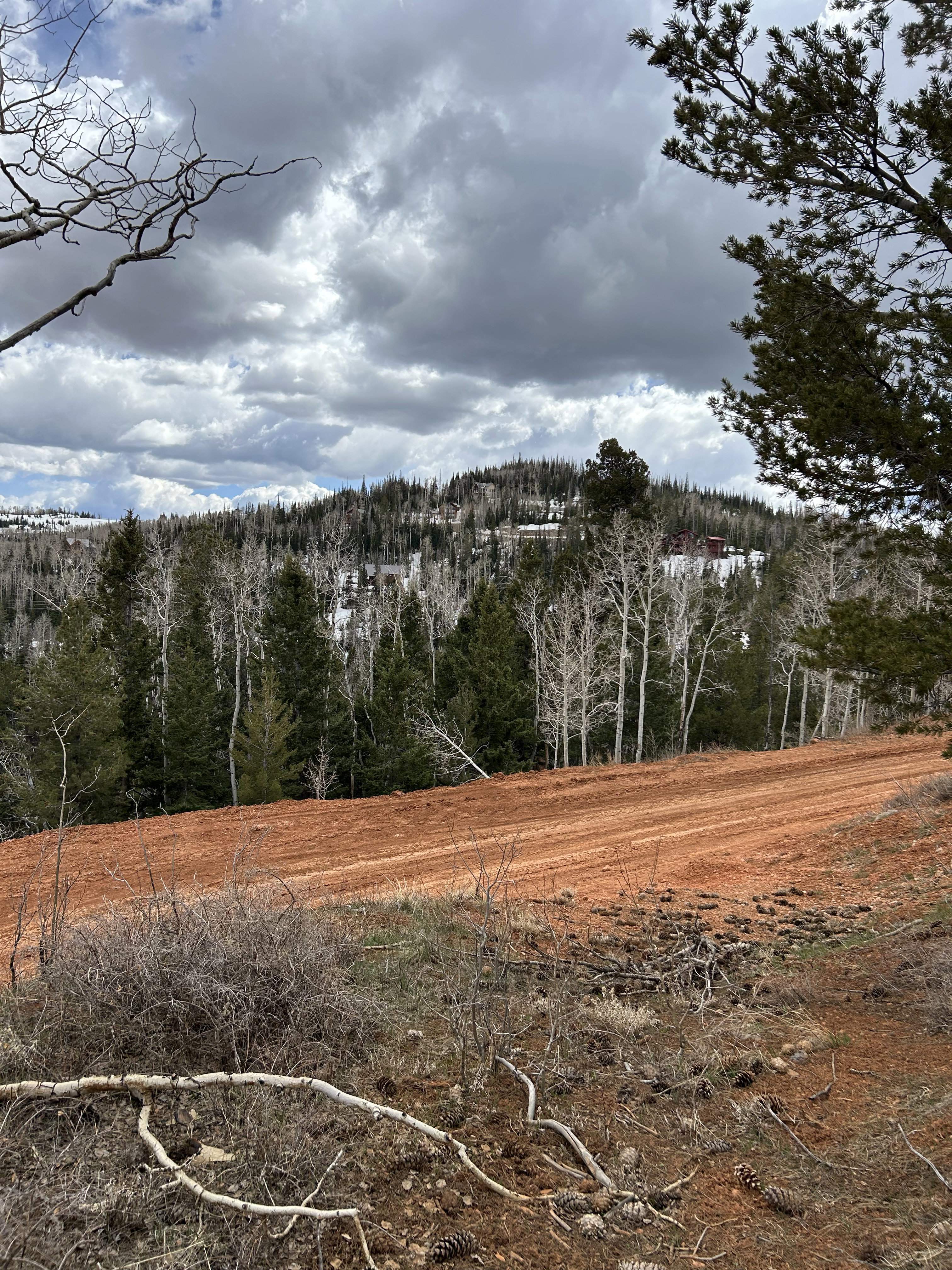 Expansive land parcel featuring a red earth road and forested hillside