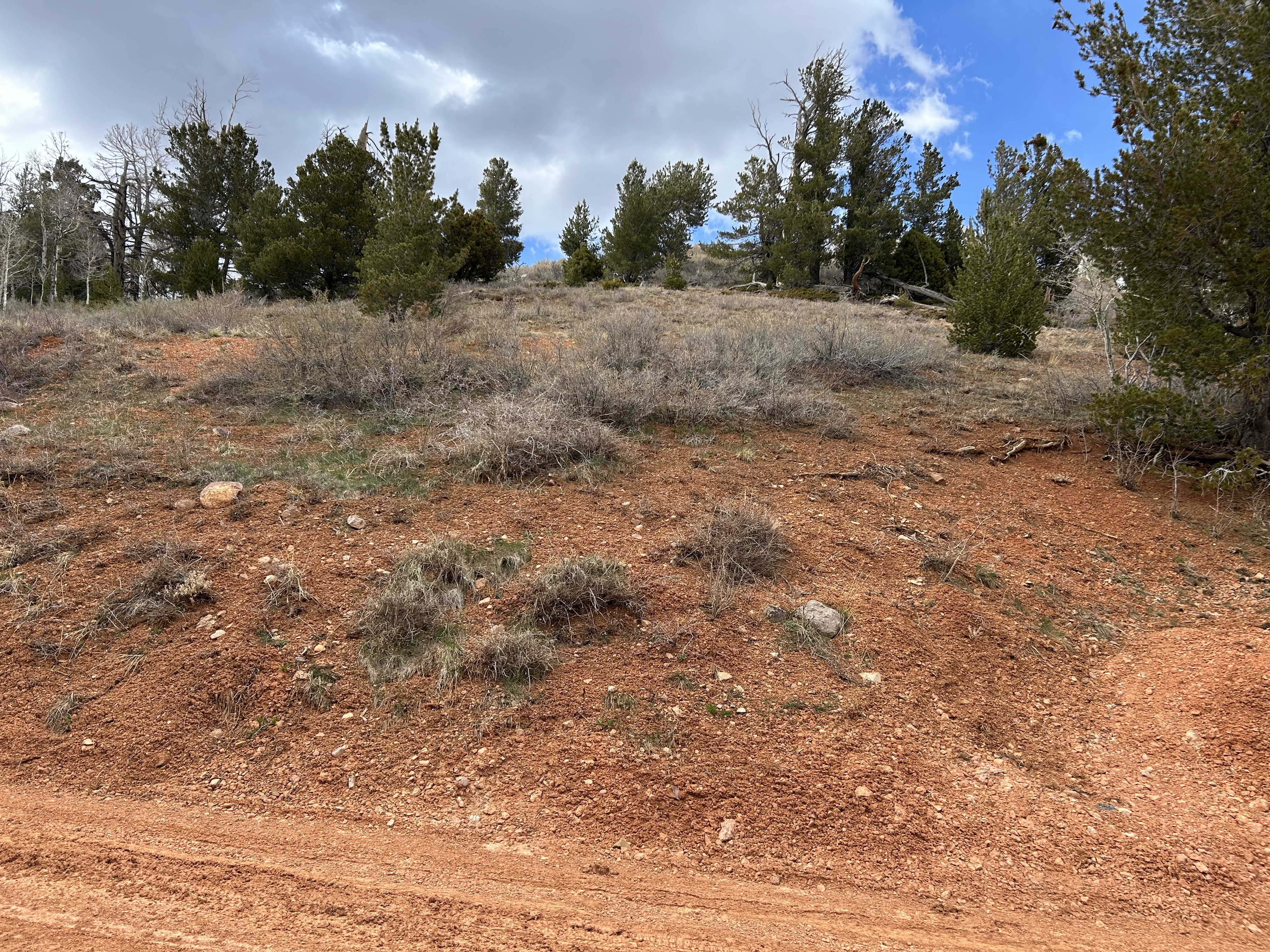 Sloping terrain featuring red-hued soil and scattered rocks
