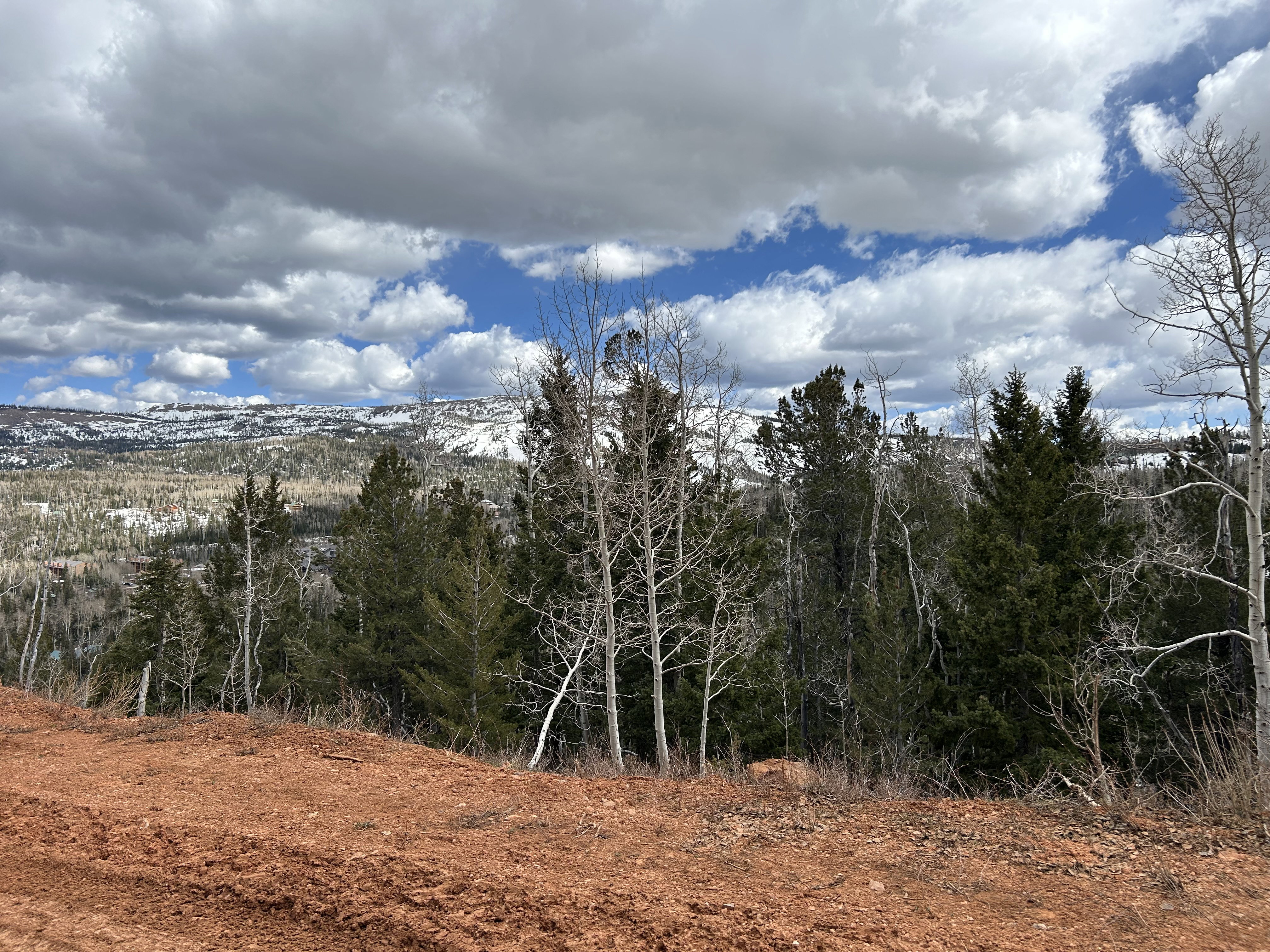Mountainous terrain featuring a mix of evergreen and deciduous trees, a partially snow-covered distant landscape, and an expansive sky with varied cloud formations