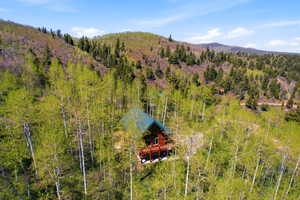 Wood-sided cabin nestled among mature deciduous and evergreen trees