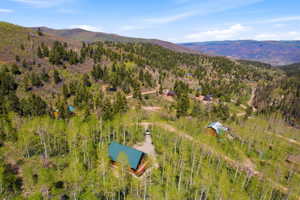Wood-clad cabin featuring a green metal roof, surrounded by mature aspen trees and pine forests