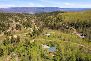 Mountainous landscape with expansive tree coverage and scattered residential structures