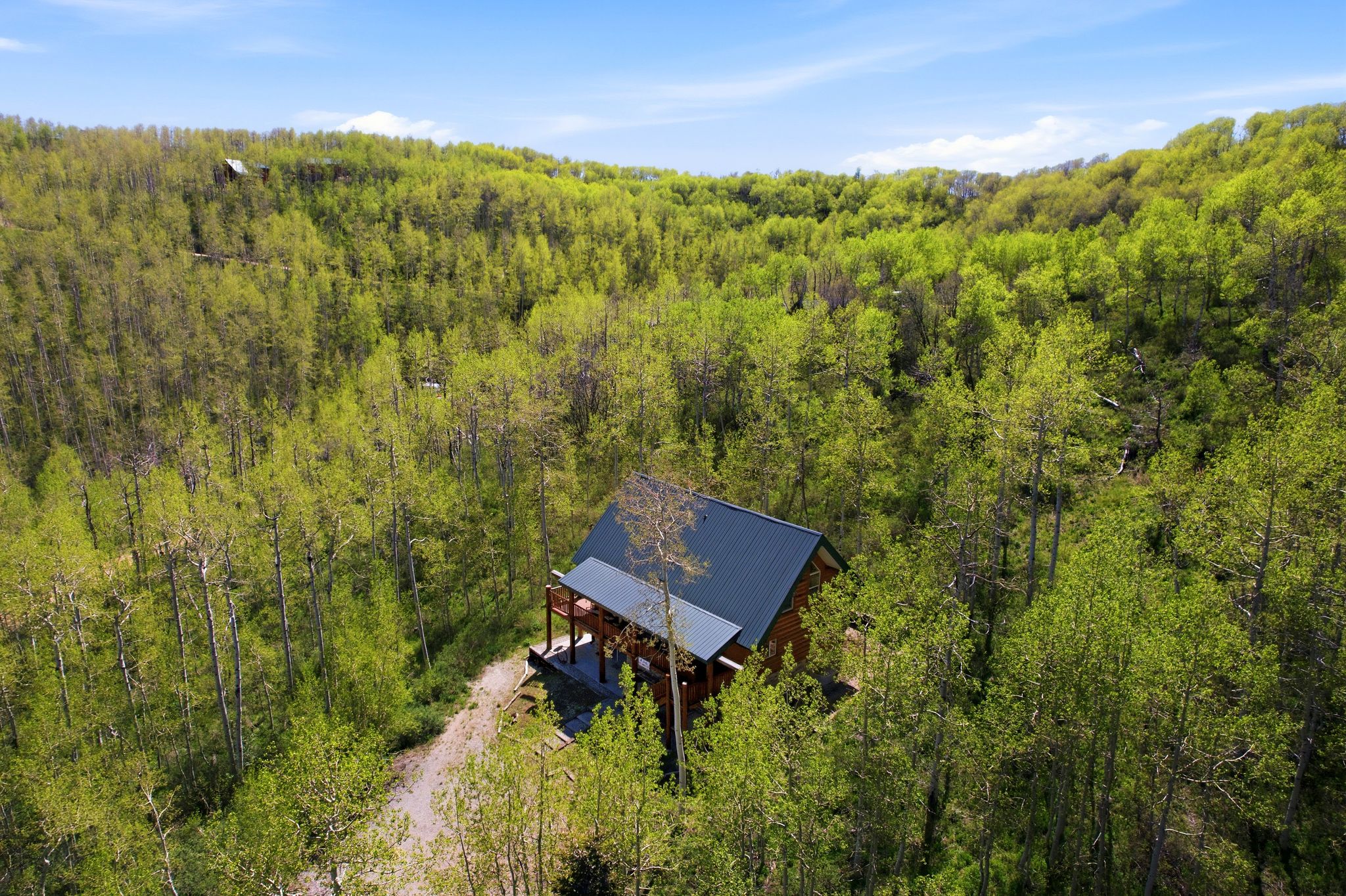 Wood-sided home featuring a dark metal roof, elevated porch, and surrounding mature trees