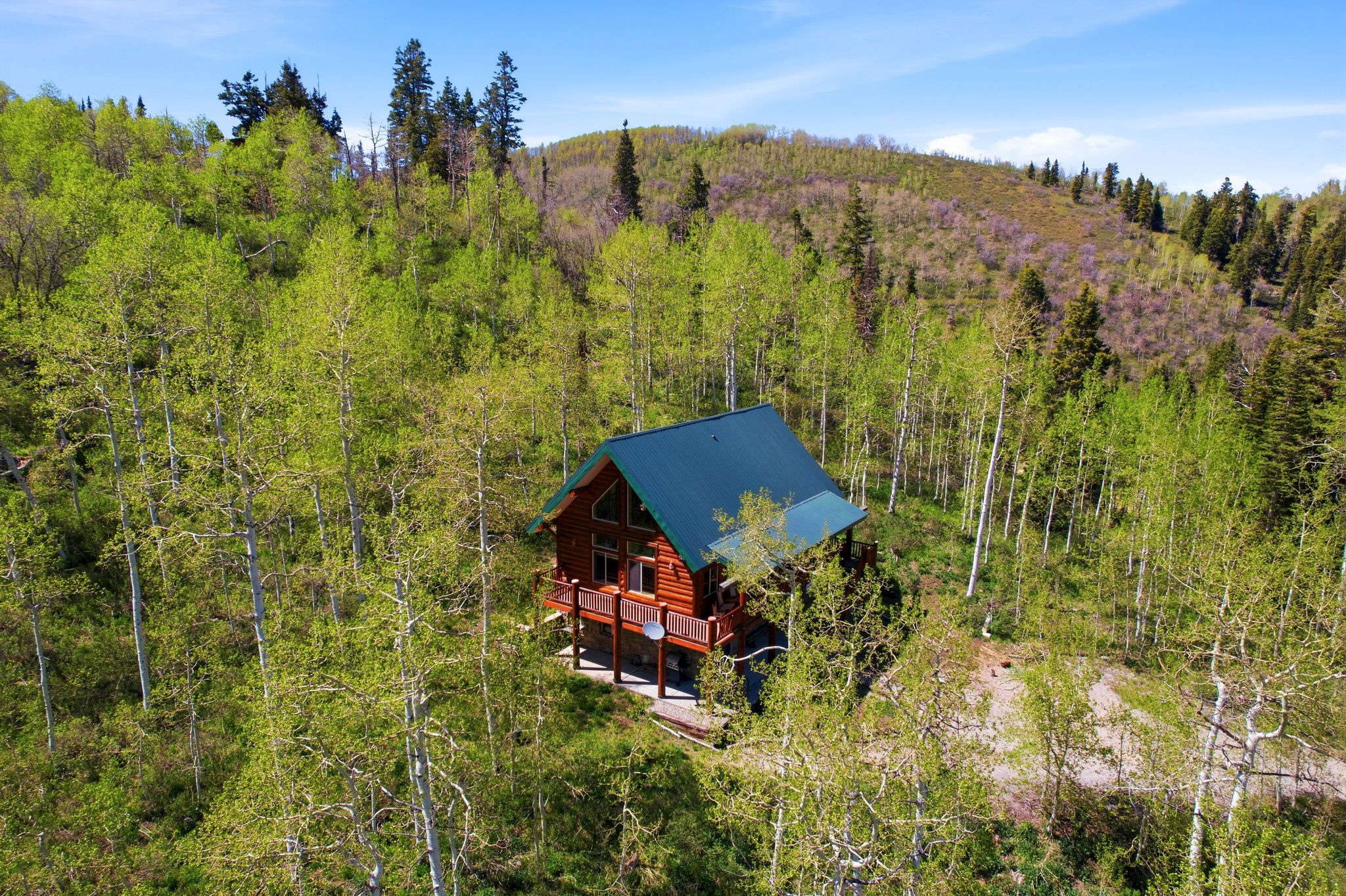 Log cabin residence featuring a dark green metal roof, multiple windows, and a surrounding forest setting