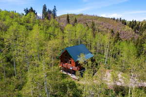 Log cabin residence featuring a dark green metal roof, multiple windows, and a surrounding forest setting