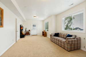 Carpeted room featuring multiple windows with blinds, a white paneled door with frosted glass, and ceiling-mounted lighting fixtures