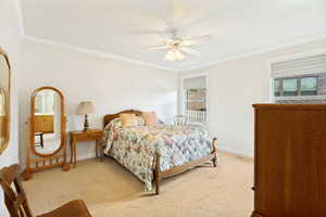 Carpeted room featuring crown molding, two windows with blinds, and a ceiling fan with light fixture