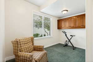 Versatile room featuring a large window with blinds, overhead wood cabinetry, green carpet flooring, and a ceiling-mounted light fixture