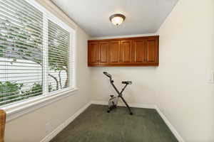 Room featuring a large window with horizontal blinds, built-in wooden cabinetry, a ceiling-mounted light fixture, and wall-to-wall carpeting