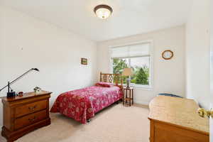 Bright room featuring a large window, neutral carpeting, and a ceiling-mounted light fixture