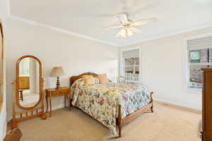 Carpeted room featuring crown molding, two windows with blinds, and a ceiling fan with integrated lighting