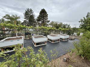 Outdoor garden area featuring multiple raised white planter boxes