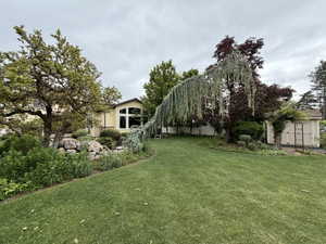 Expansive green lawn with diverse mature trees, rock landscaping, and varied shrubbery
