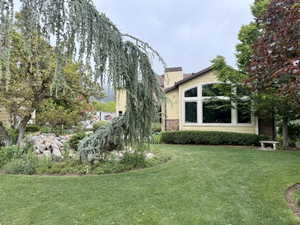 Expansive green lawn with mature landscaping, including a distinctive weeping conifer