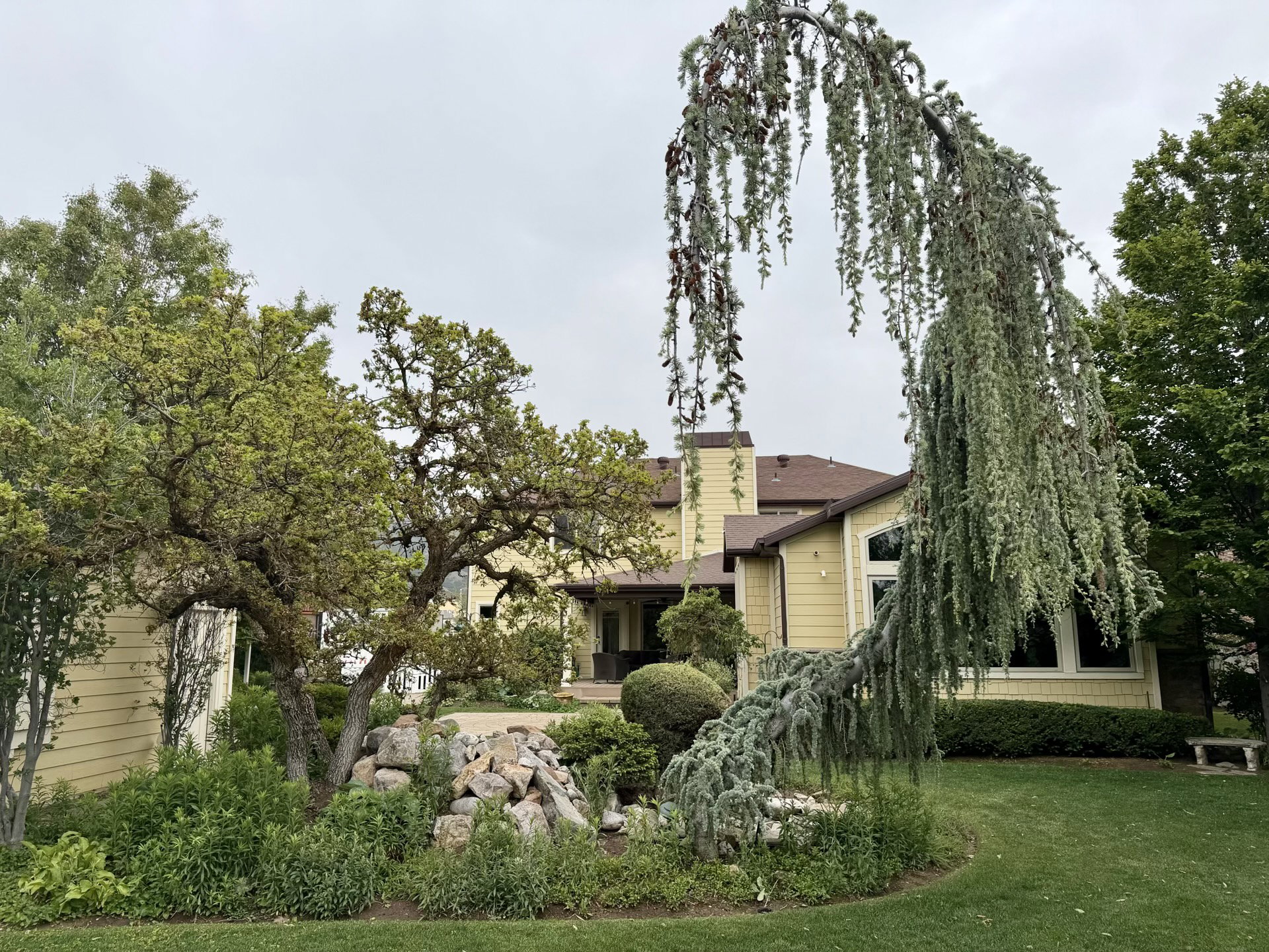 Landscaped exterior featuring a weeping cedar tree, mature deciduous trees, and varied plantings