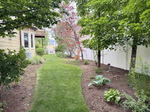 Curved lawn path bordered by mature trees and garden beds