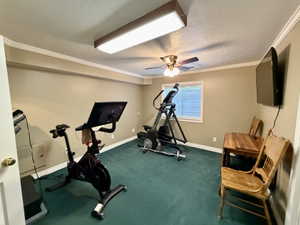 Spacious room featuring green carpeting, neutral wall tones, crown molding, and a window with blinds