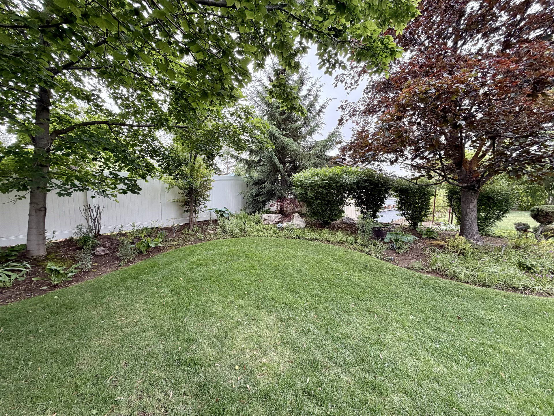 Expansive lawn area bordered by a white privacy fence