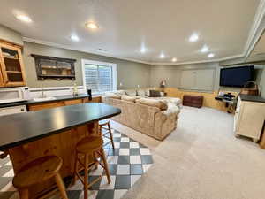 Recreational room with a built-in wet bar featuring wood cabinetry and a black countertop
