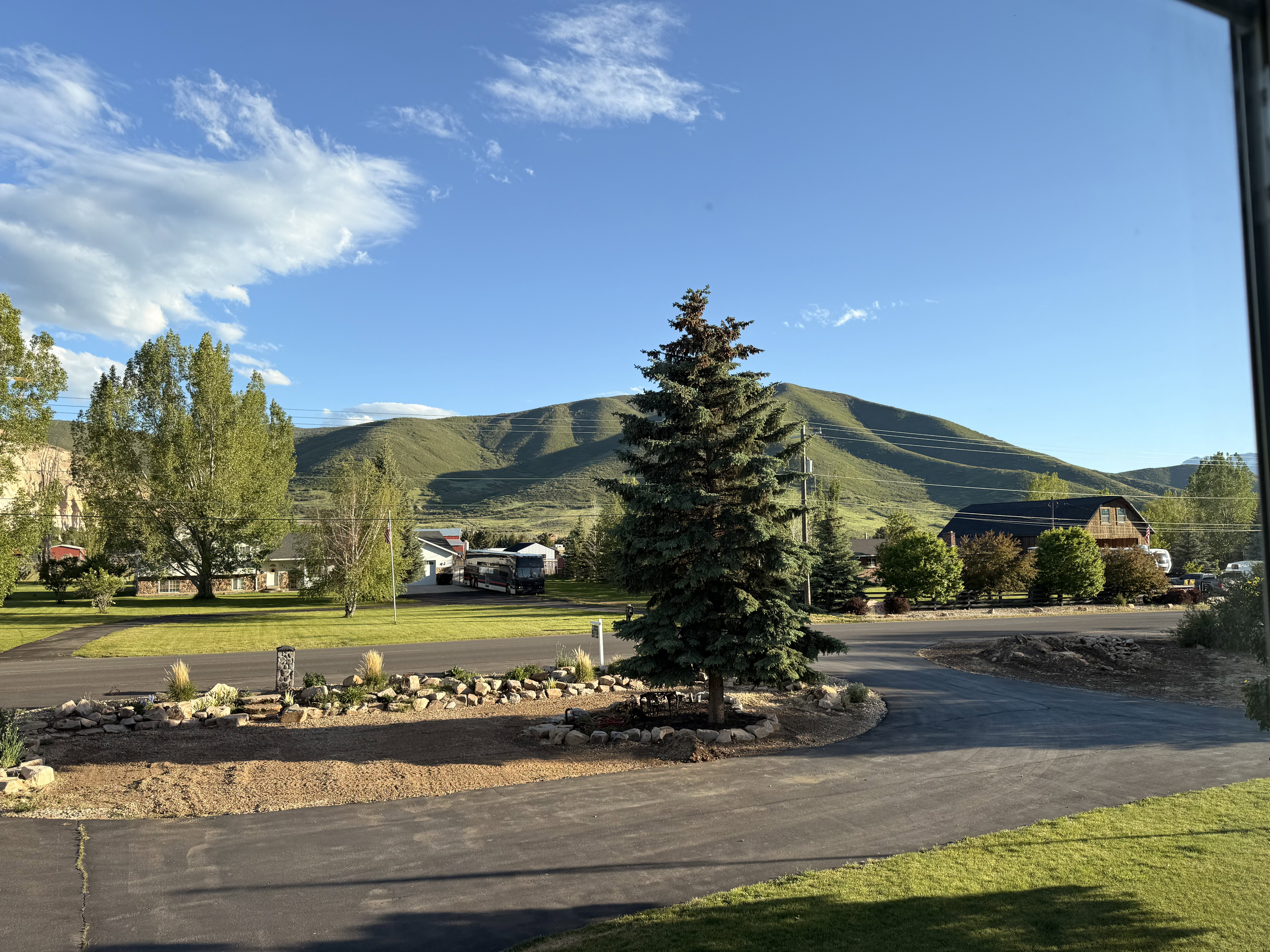 Paved driveway with a central evergreen tree and surrounding rock landscaping