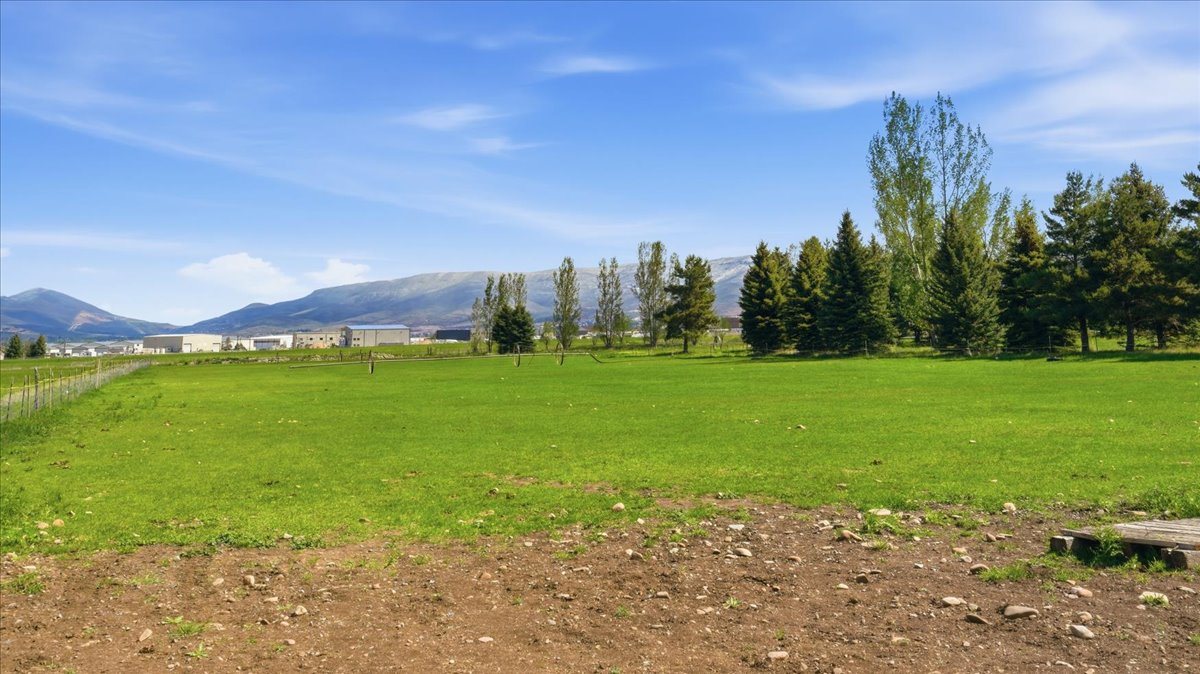 Expansive grassy parcel with mature evergreen and deciduous trees