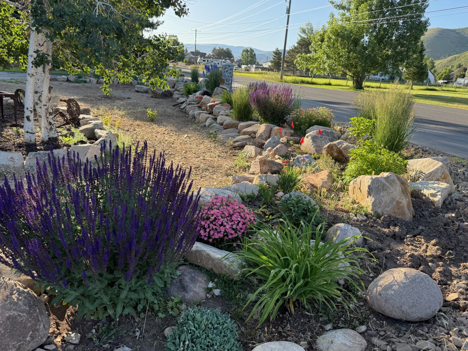 Landscaped front yard featuring rock garden elements and diverse plantings