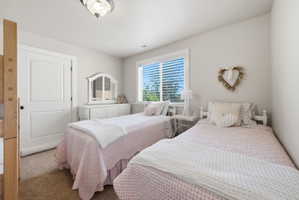 Bedroom featuring neutral wall paint, carpet flooring, a window with horizontal blinds, and a white paneled door