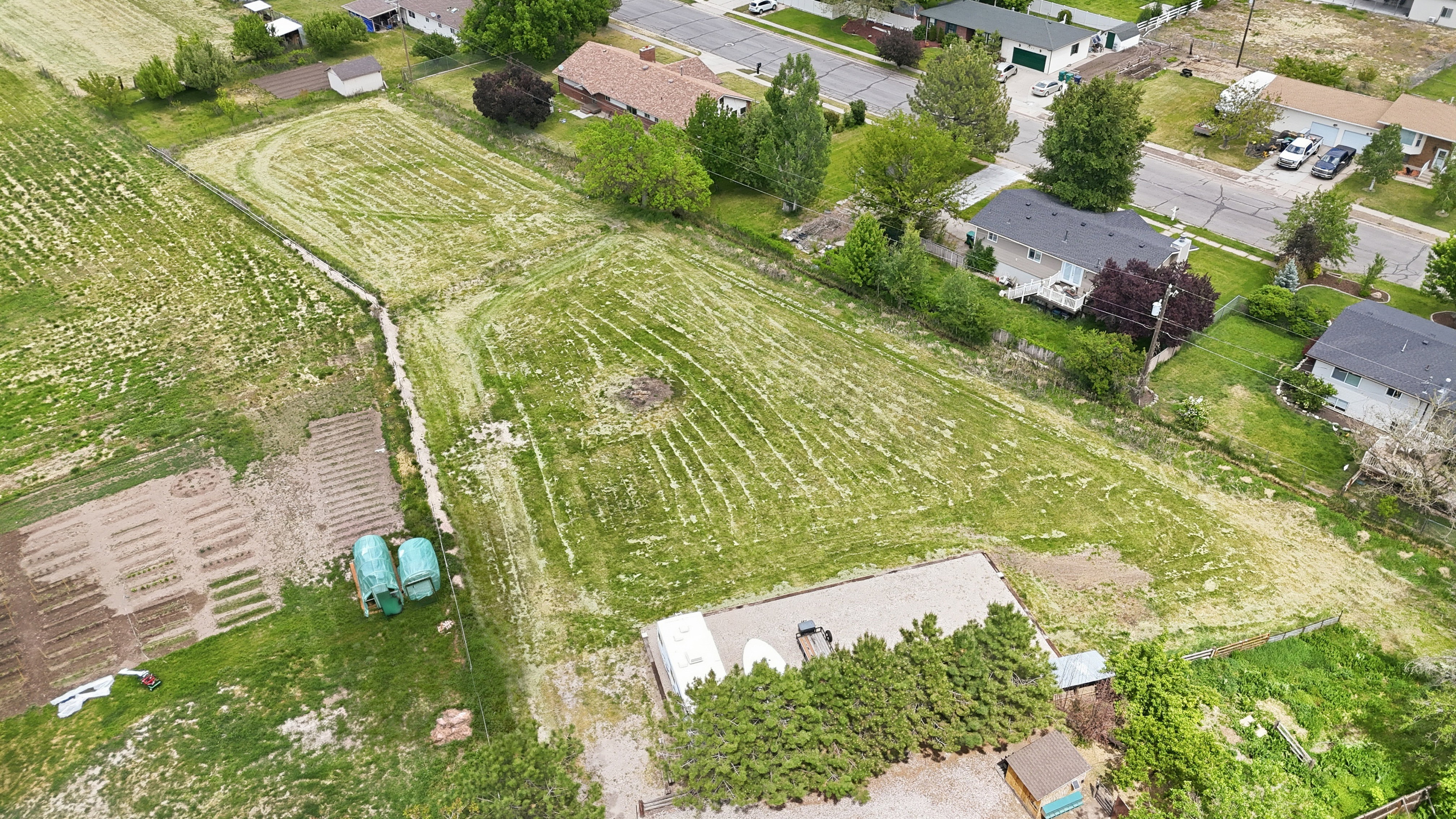 Expansive agricultural land featuring cultivated rows, established trees, and surrounding residential properties