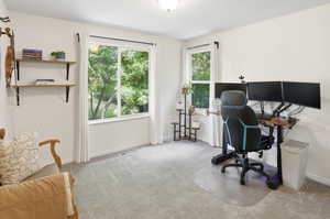 Room featuring light gray carpeting, neutral wall paint, and two windows with white trim
