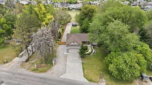 Expansive property featuring a two-car garage, mature trees, manicured lawns, and a long concrete driveway