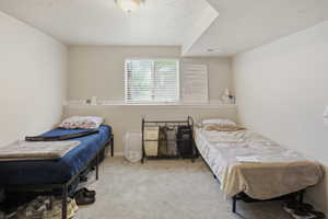 Carpeted room in basement apartment with a window featuring horizontal blinds and a window ledge