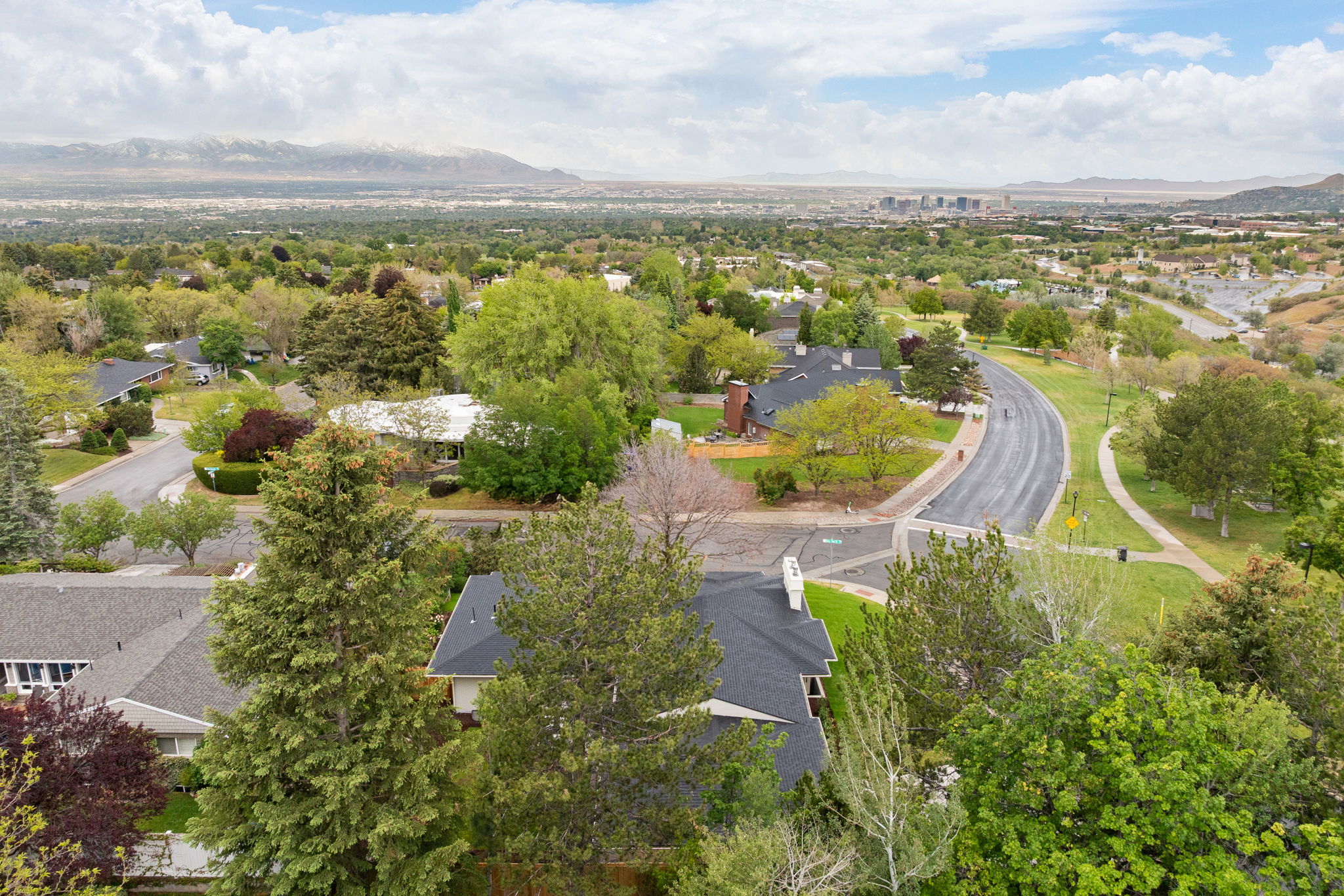 Expansive neighborhood setting featuring mature trees, a paved roadway, and a distant city skyline