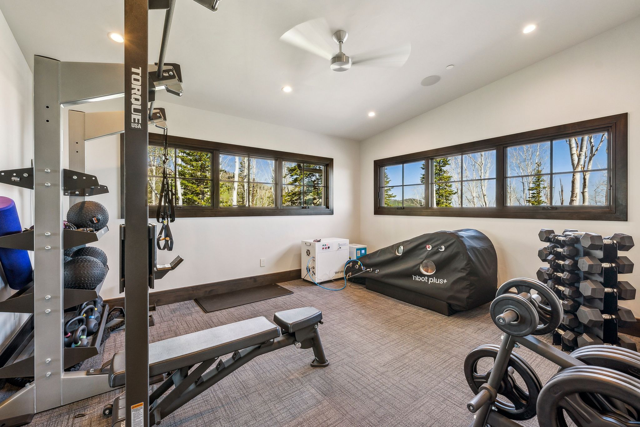 Dedicated exercise space featuring a textured carpet floor, recessed lighting, and a ceiling fan