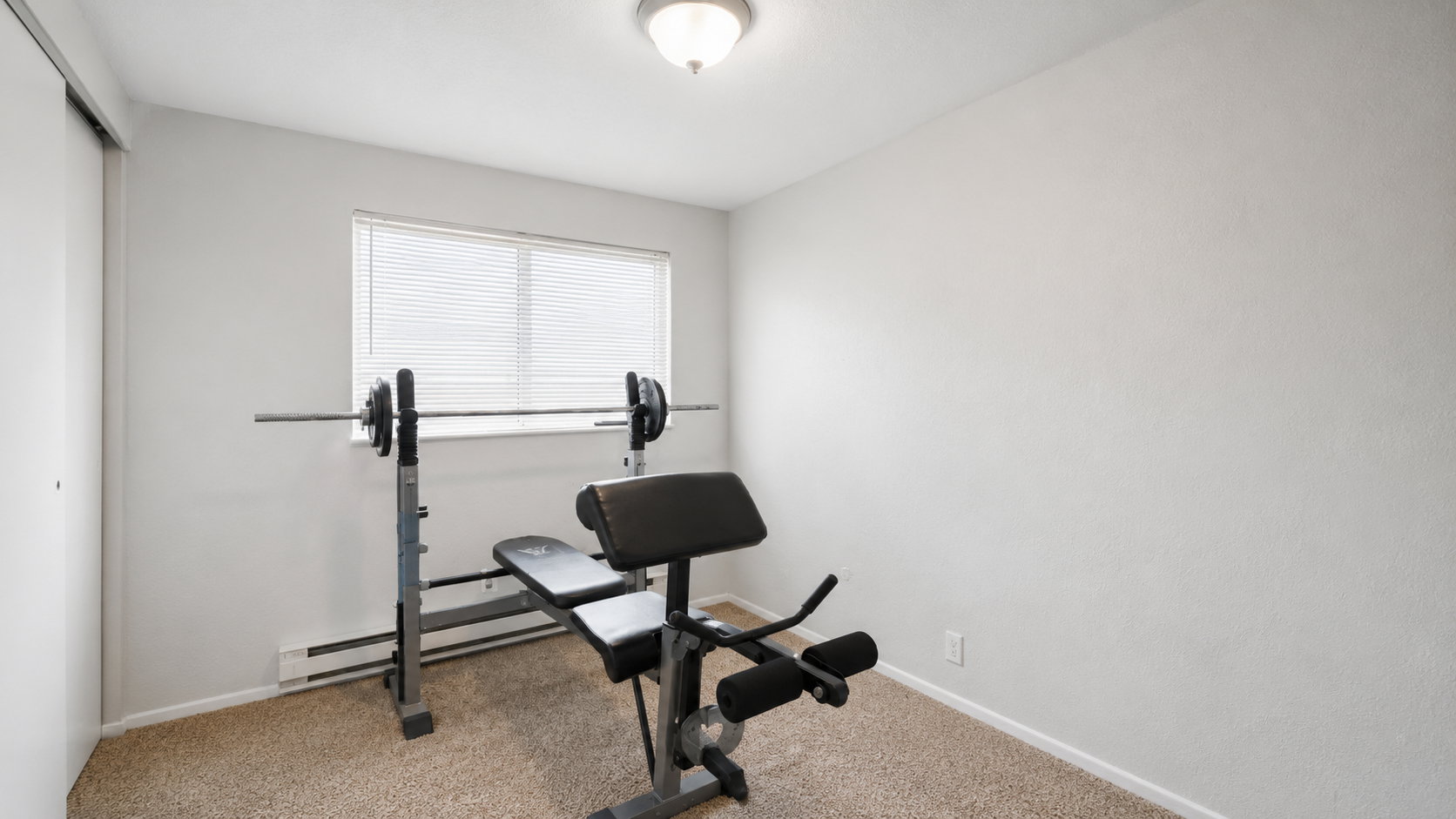 Room featuring neutral carpeting, light-colored walls, a single window with horizontal blinds, and a flush-mount ceiling light