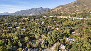 Mature tree-lined neighborhood and mountain scenery