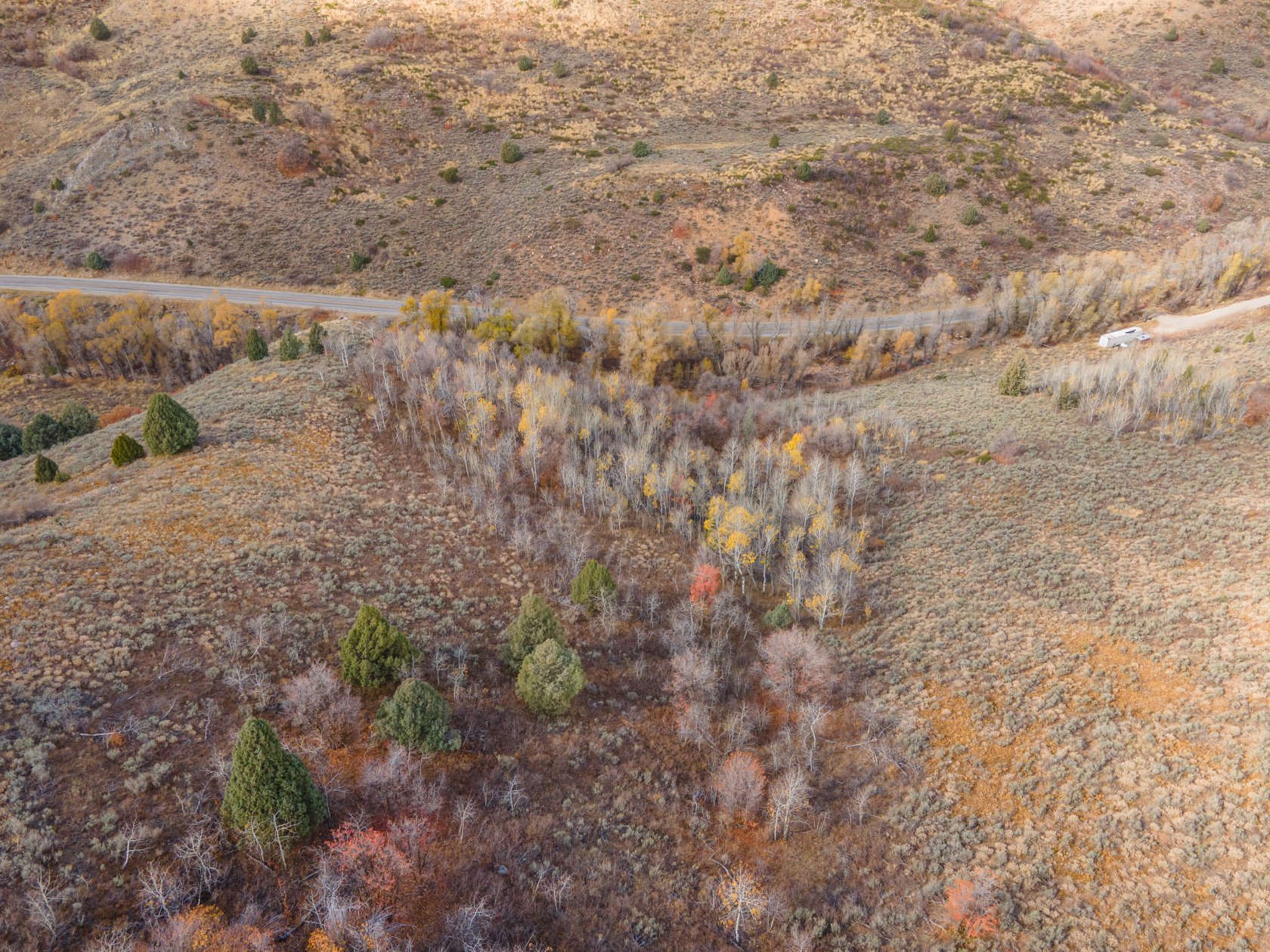 Vast natural landscape featuring rolling hills and varied foliage