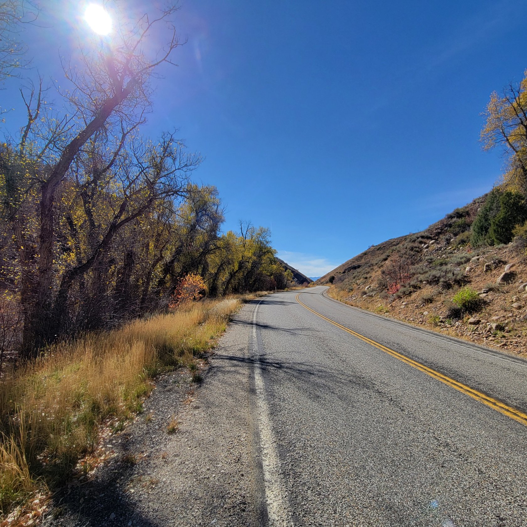 Paved road bordered by natural landscapes