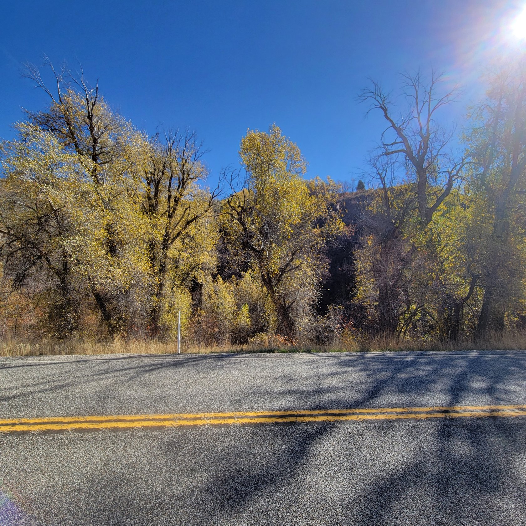 Paved roadway with double yellow lines, bordered by a natural landscape