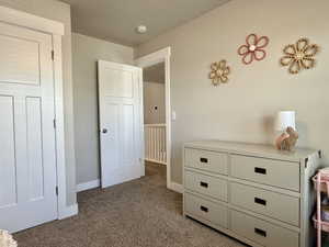Plush carpeting, light neutral wall paint, white trim, and white two-panel interior doors