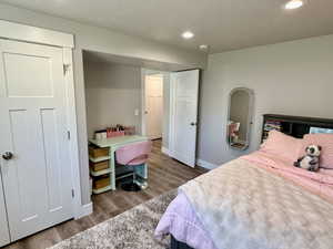 Interior space featuring wood-finish flooring, recessed lighting, and white paneled doors