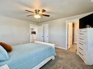 Carpeted room featuring a ceiling fan with light fixture, light gray wall paint, and white trim molding