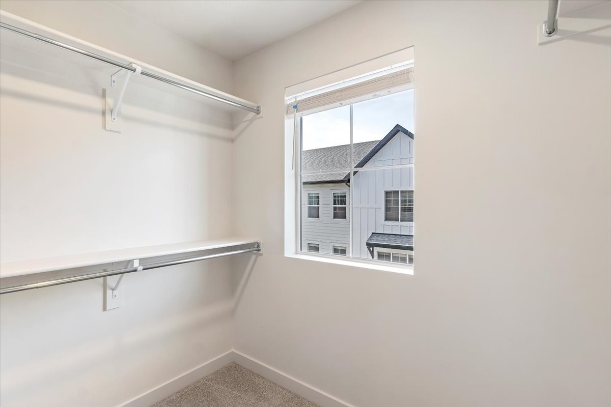Walk-in closet featuring white walls, gray carpet flooring, and a single window