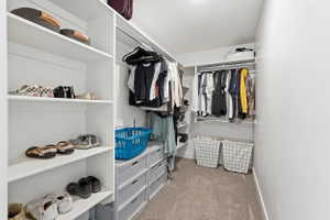 Primary Suite walk-in closet featuring white built-in shelving, multiple hanging rods, integrated drawer storage, and neutral carpet flooring