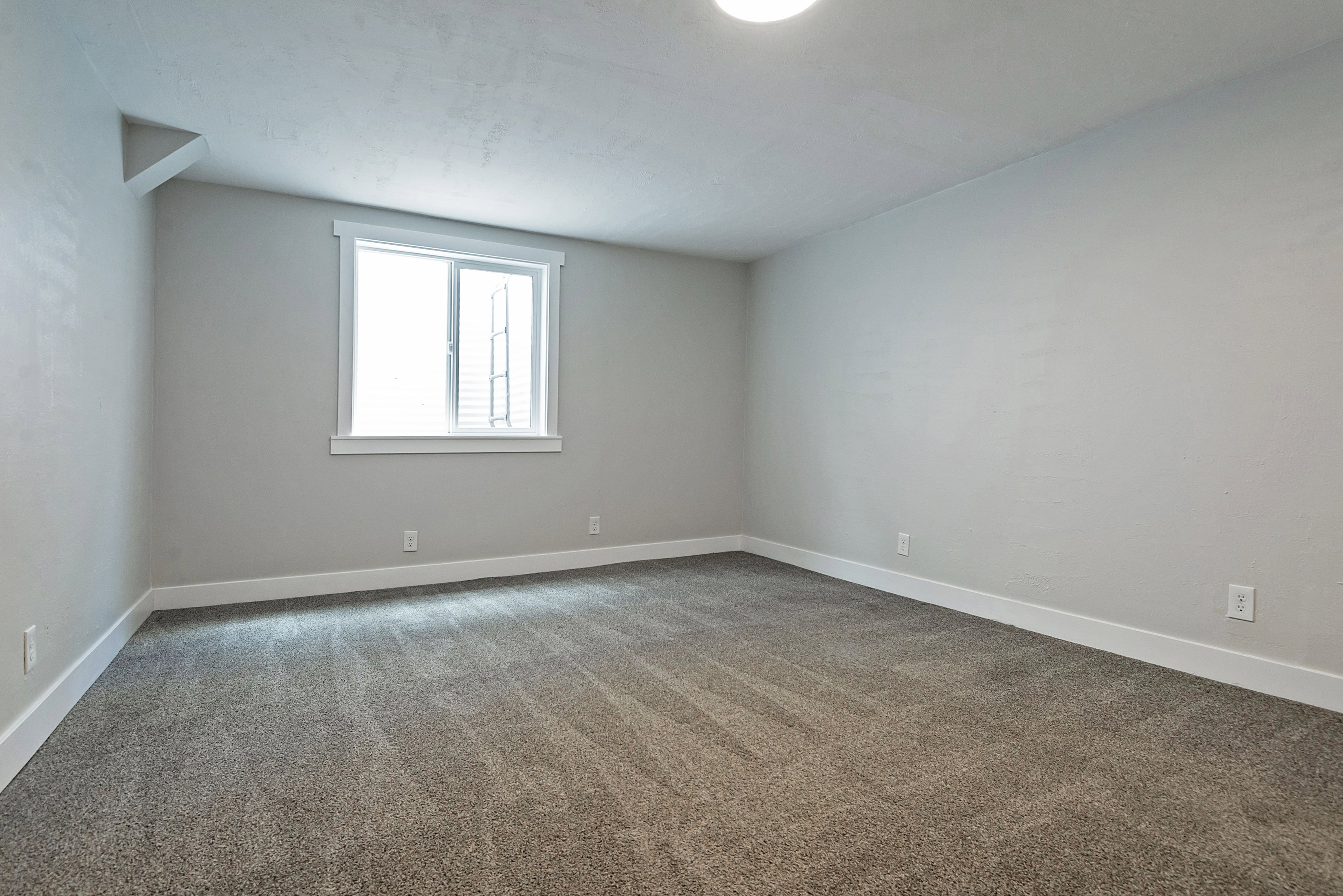 Carpeted room featuring light gray walls and white trim