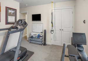 Carpeted interior space featuring light neutral walls, a built-in closet with double white doors, and a ceiling-mounted exercise attachment