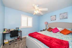 Carpeted room with a ceiling fan light fixture, a window featuring white plantation shutters, and light blue wall finishes