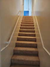 Carpeted staircase featuring a painted handrail and crown molding