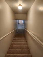 Carpeted staircase with light-toned walls and a flush-mount ceiling light fixture